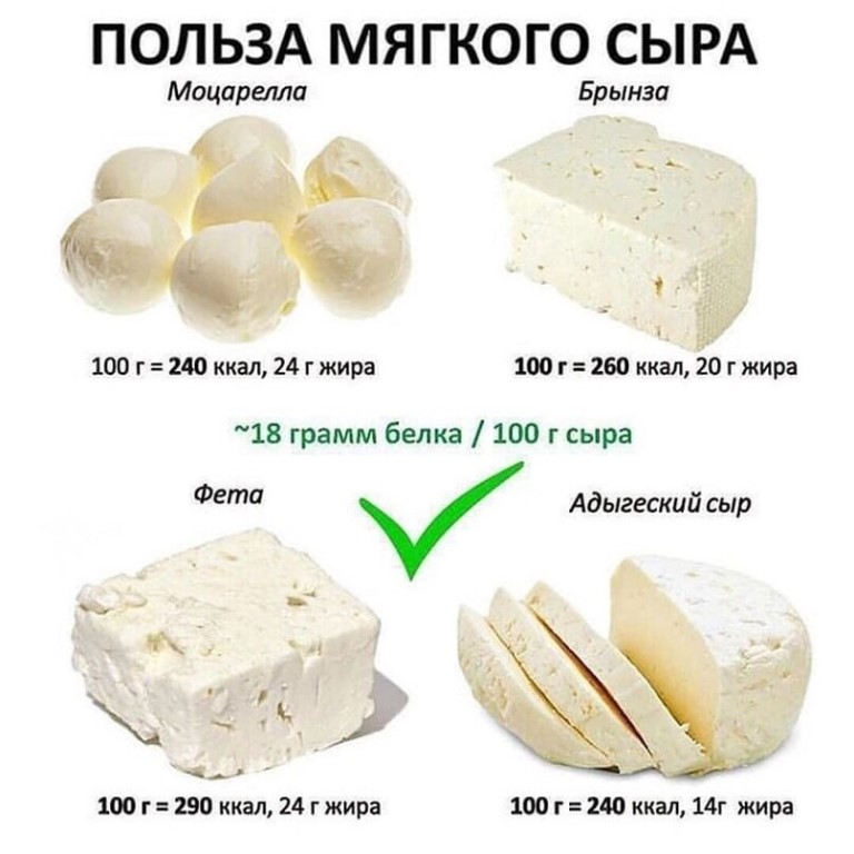 Сыр: польза и вред для организма | польза и вред