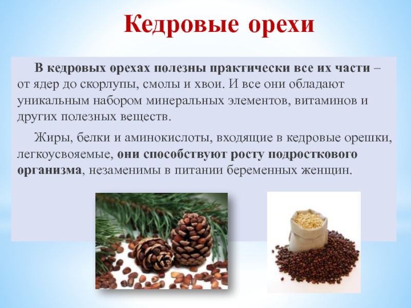 “кедровые орехи — полезные свойства и рецепты применения, калорийность”