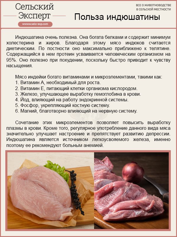 Утка: свойства мяса и польза для организма