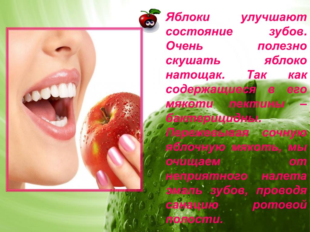 Будучи диетическим фруктом, яблоко может употребляться в течение целого дня Еще одним полезным свойством плода является то, что он богат растительной клетчаткой, польза которой для худеющих высока