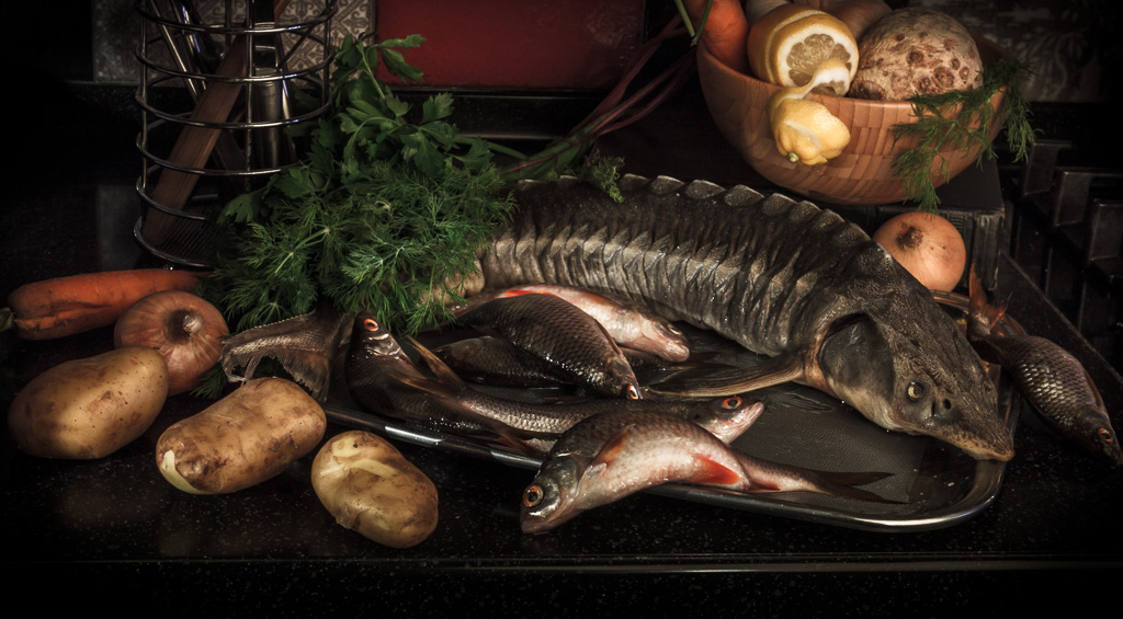 Как очень вкусно приготовить осетра — 6 рецептов царского блюда
