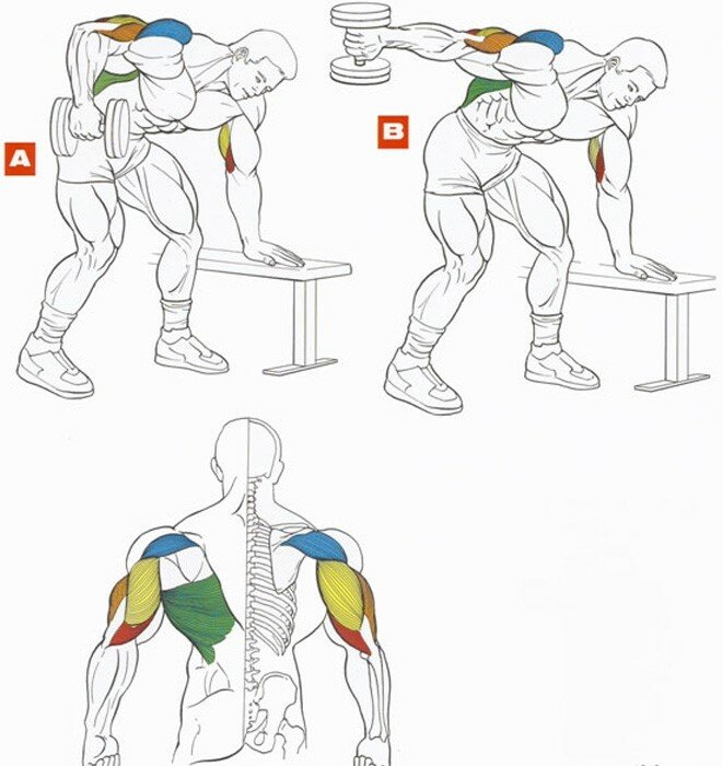 Как правильно качать трицепс, прокачать мышцы эффективно, подобрать программы