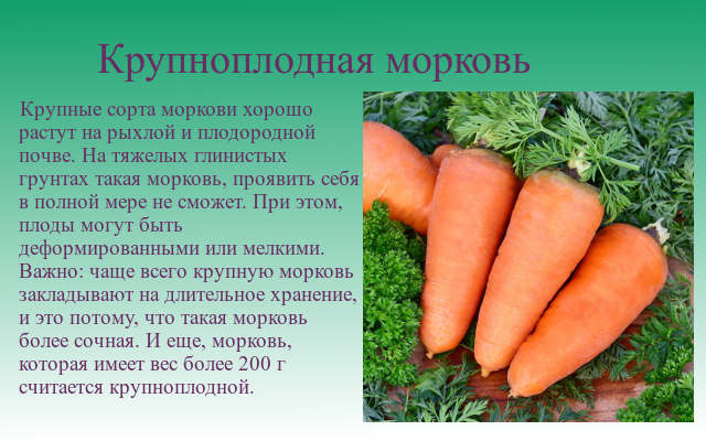 Как варить морковь. сколько времени варить морковку до готовности в кастрюле, пароварке, микроволновке, мультиварке