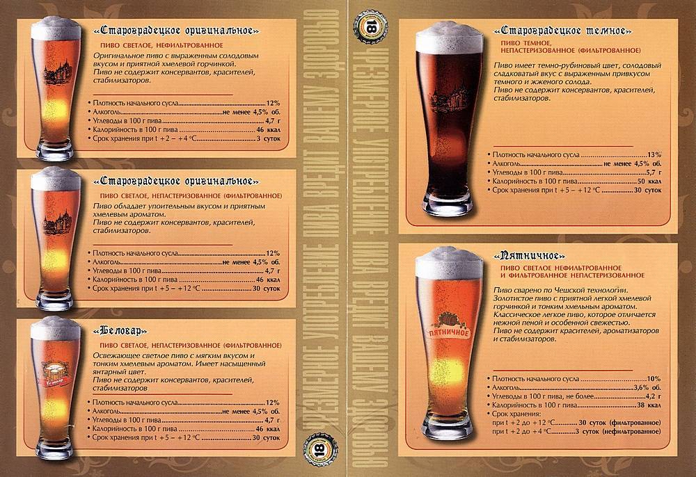 Светлое пиво: пищевая ценность, калорийность, польза и вред