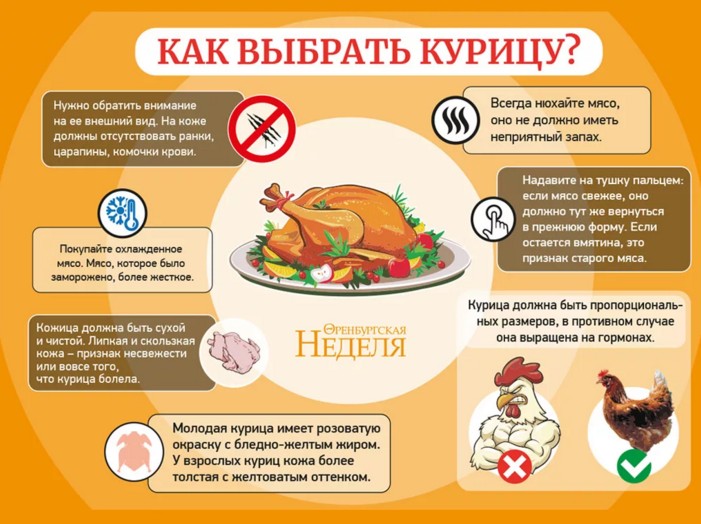 Мясо куриное: польза, калорийность. блюда из курицы :: syl.ru