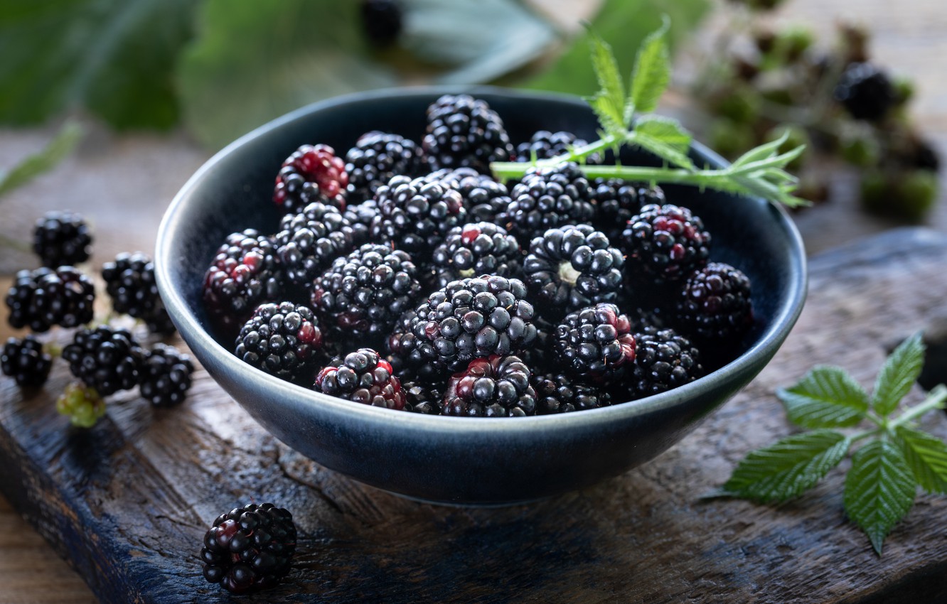 Польза и вред ежевики для здоровья: лечебные свойства ягоды для организма человека при употреблении в виде сока, чая из листьев или замороженную