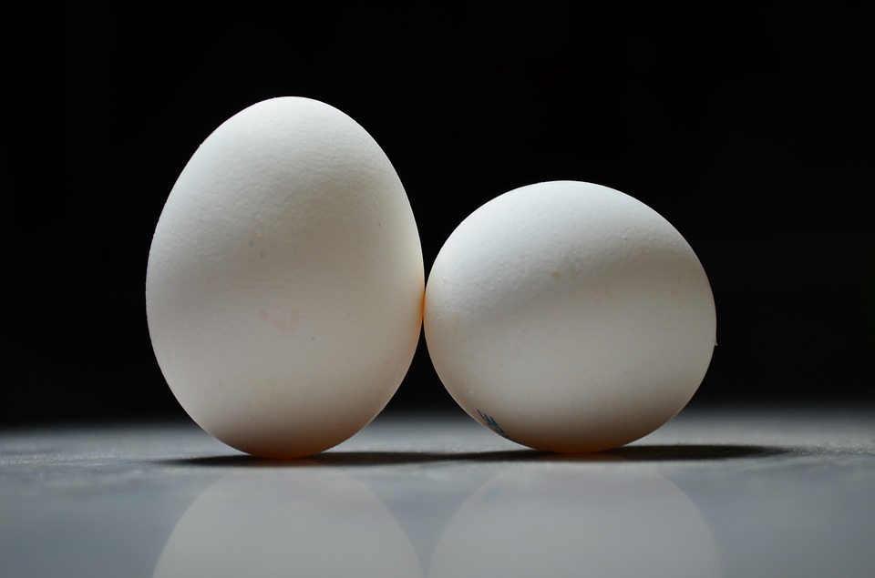 Соотношение белков, жиров и углеводов в яйцах