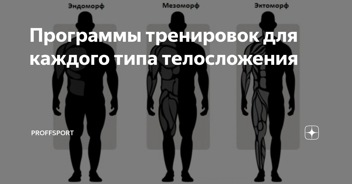 Типы телосложения и тренировки