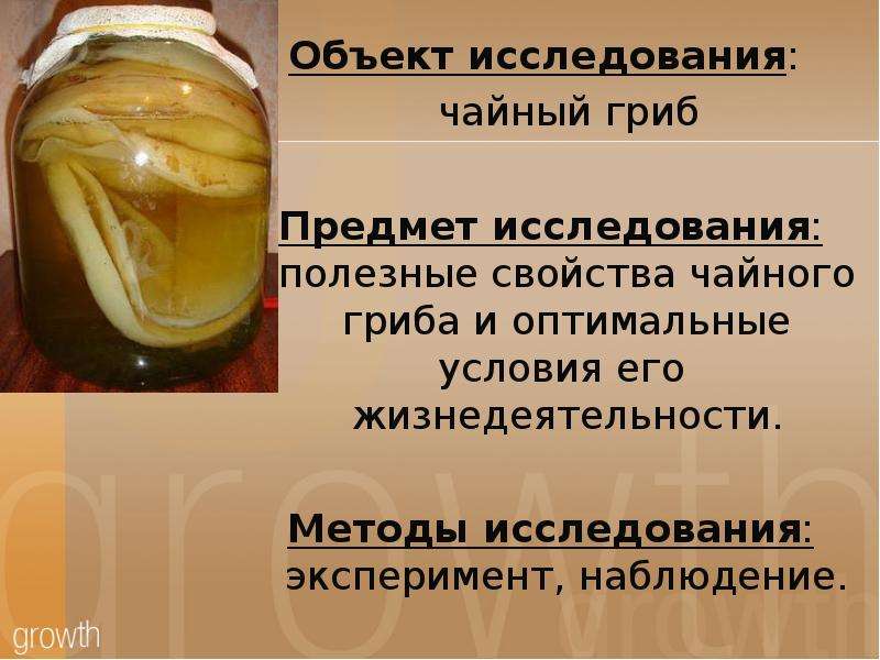 Морские грибы - свойстава и калорийность, польза и вред на your-diet.ru