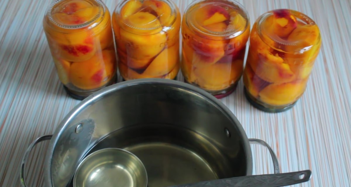 Вяленый персик – польза и вред сушеных персиков, применение, калорийность сушеных персиков
