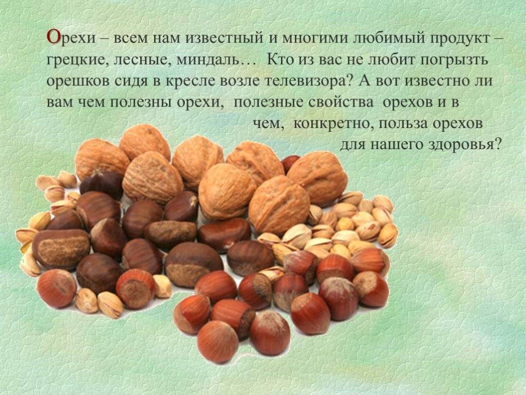 Самые калорийные орехи в мире: польза и вред
