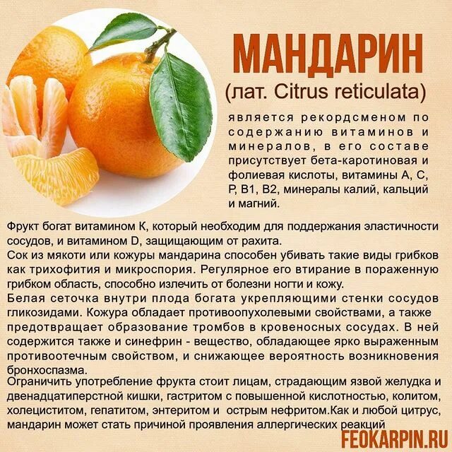 Мандарин - польза и вред плодов и кожуры, калорийность и фото фрукта
