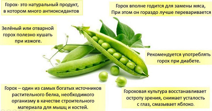 Зеленый горошек – 11 полезных свойств. польза и вред зеленого горошка.