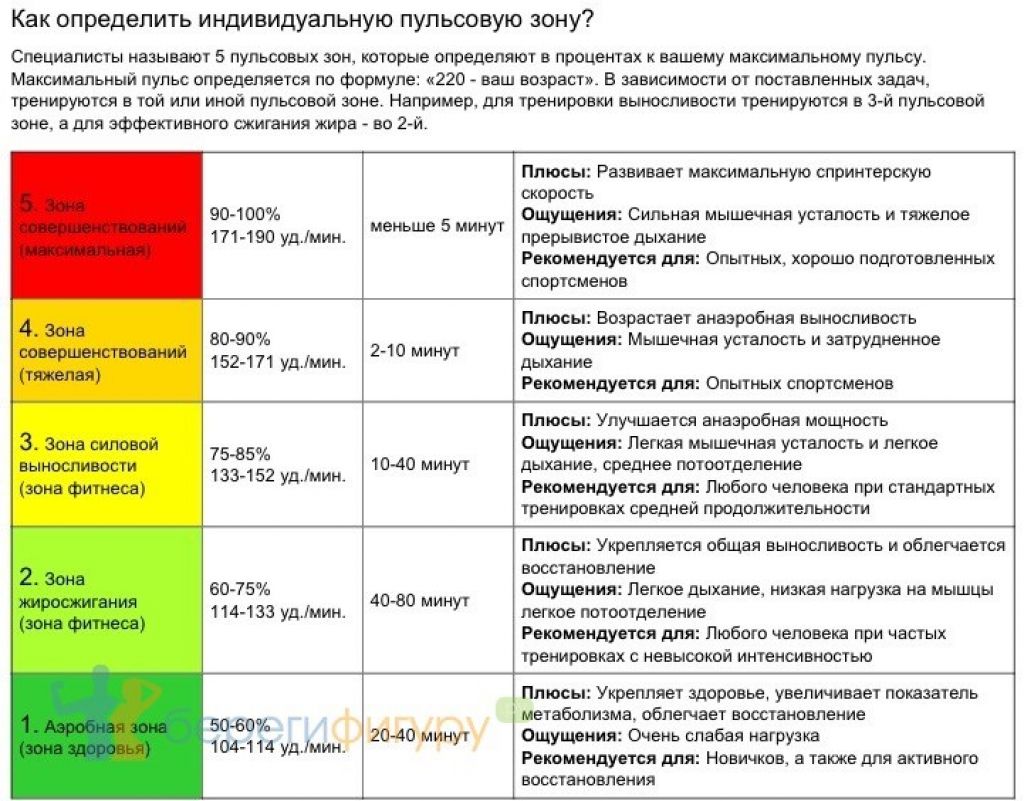 Пульс для сжигания жира: нормативные показатели, порядок расчета, советы тренеров - tony.ru