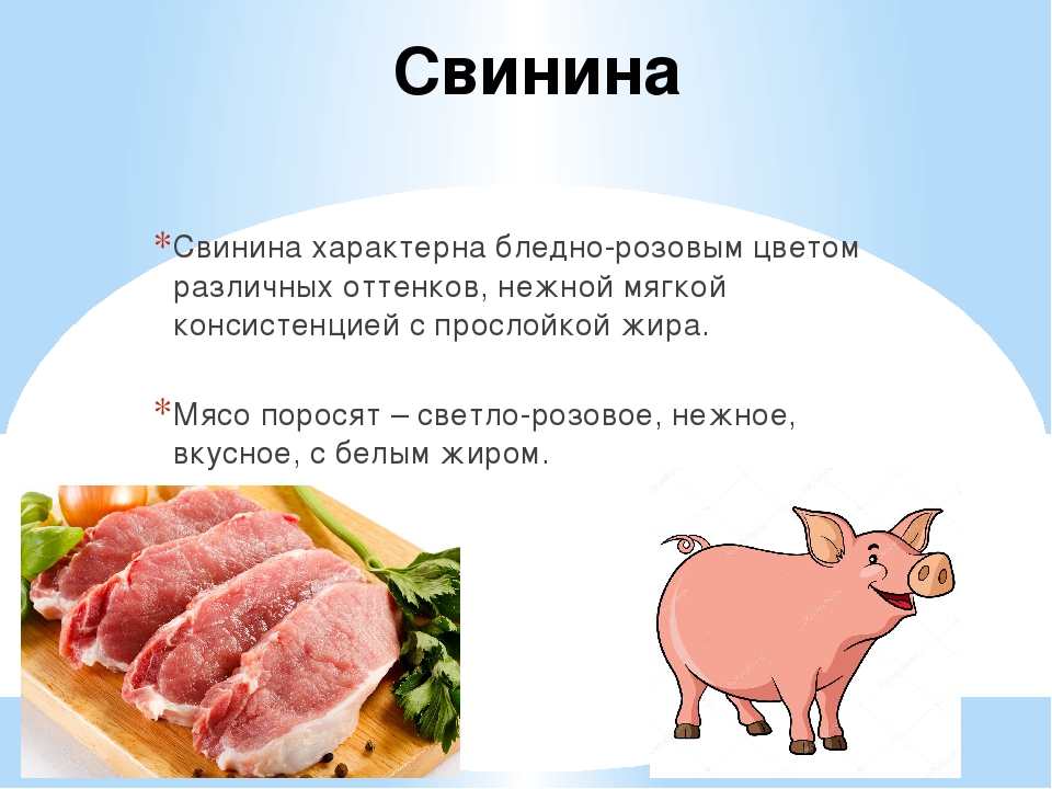 Свинина: польза и вред для организма человека