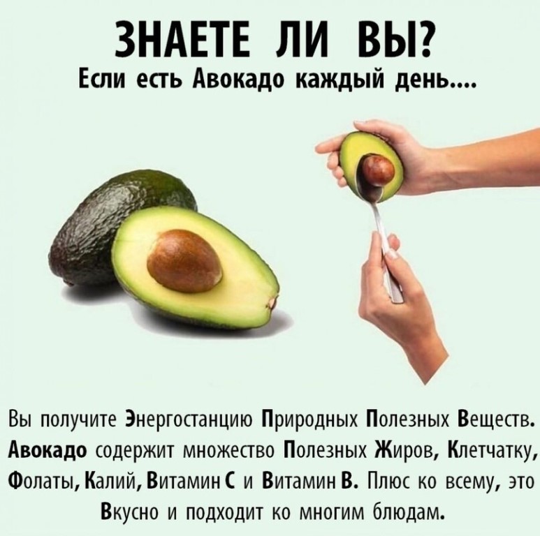 Авокадо - калорийность, полезные свойства, польза и вред, описание - www.calorizator.ru