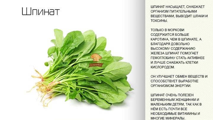 Свежие листья салата: калорийность и польза для организма — рецепты, ингредиенты, приготовление, фото, видео