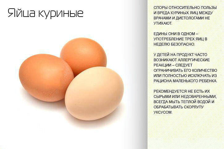 Сколько яиц можно съедать за день и как правильно их готовить