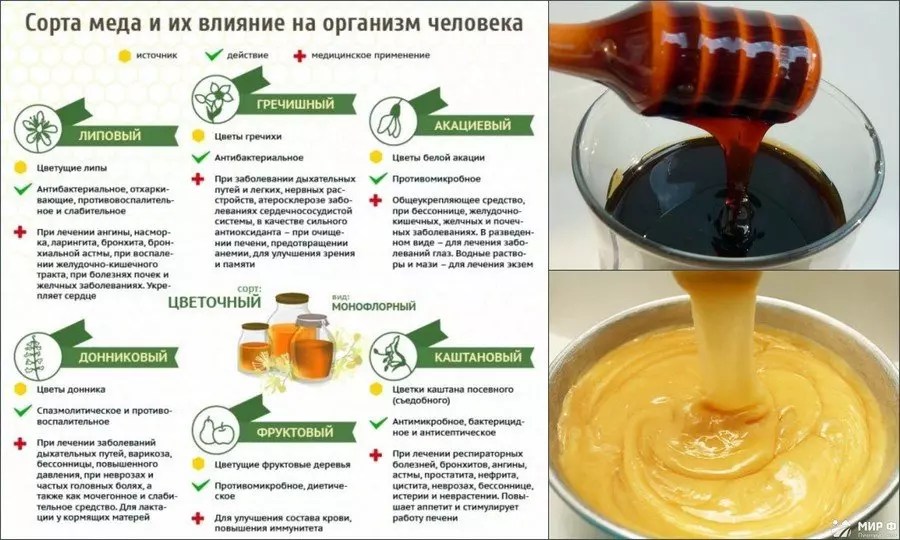 Полезные свойства гречишного меда. характеристики и особенности