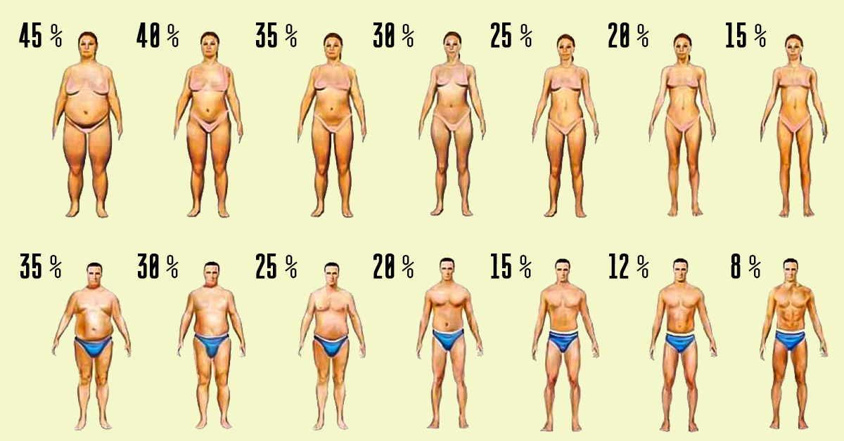 Процент жира в организме, как определить норму содержания для женщин и мужчин