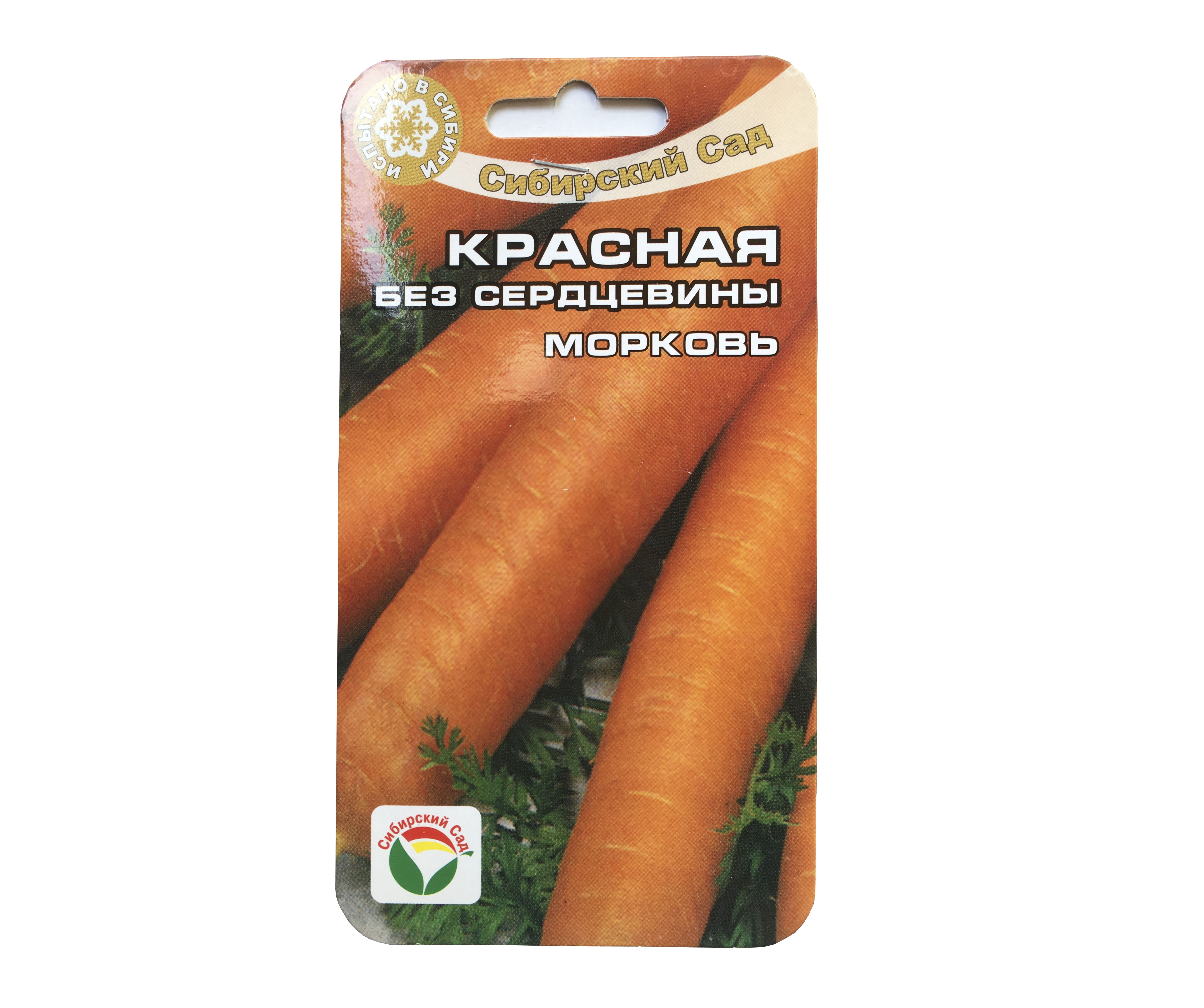 Самые лучшие семена моркови для открытого грунта