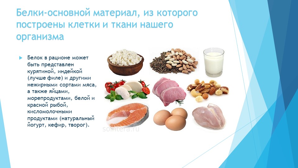 Сколько белка в сутки нужно человеку: нормы потребления, продукты с высоким содержанием белка - tony.ru