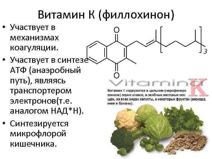 Витамин k (филлохинон) – значение для организма, где содержится и суточная норма