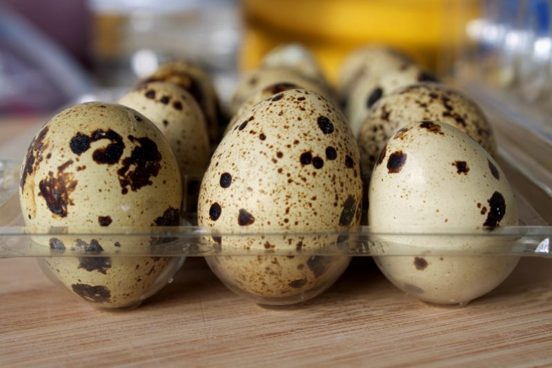 Чем полезны перепелиные яйца — 11 доказанных свойств