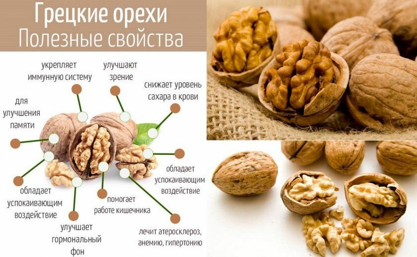 Польза арахиса для здоровья человека, вред и противопоказания