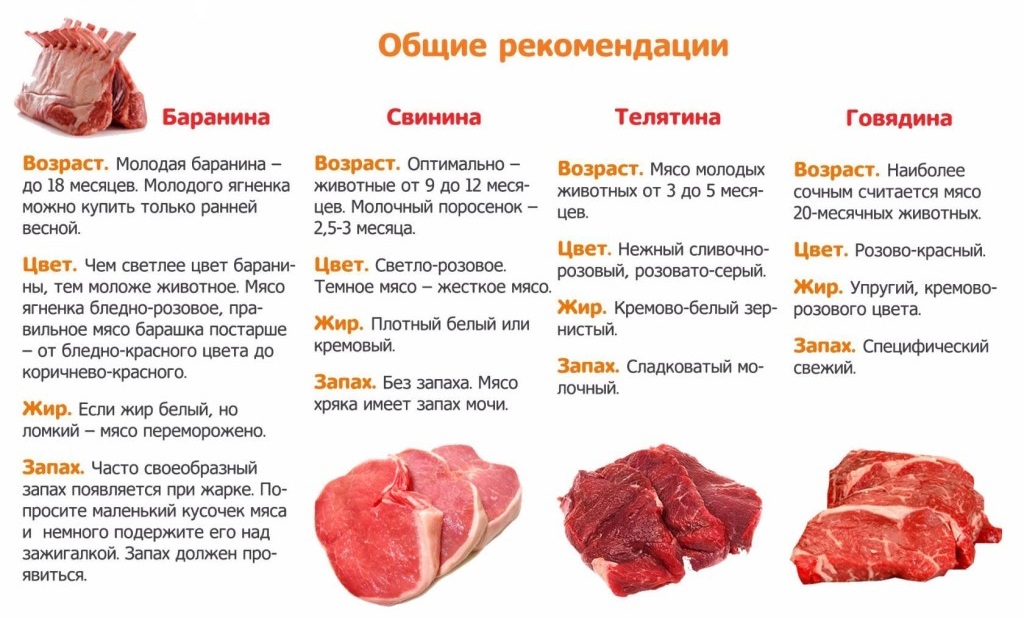 Свинина, польза и вред мяса, его химический состав и калорийность