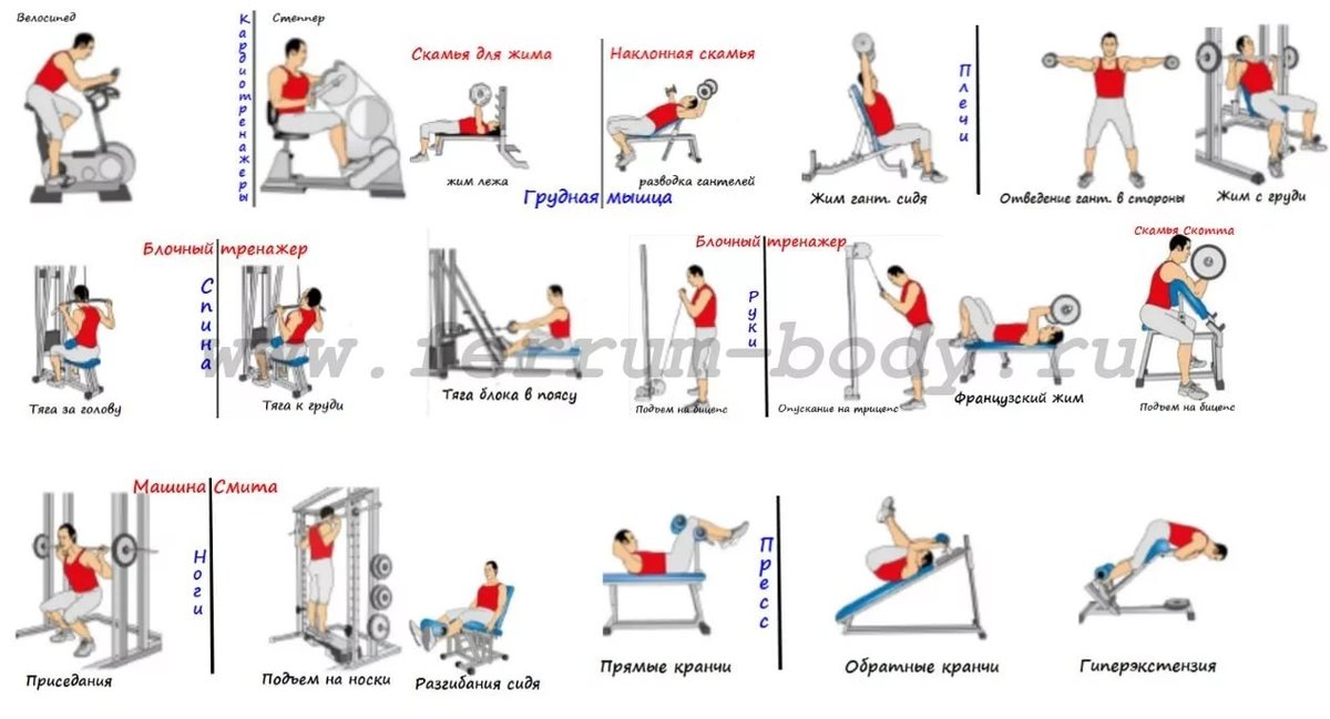 Упражнения для спины: основные базовые и изолирующие движения для развития силы мышц