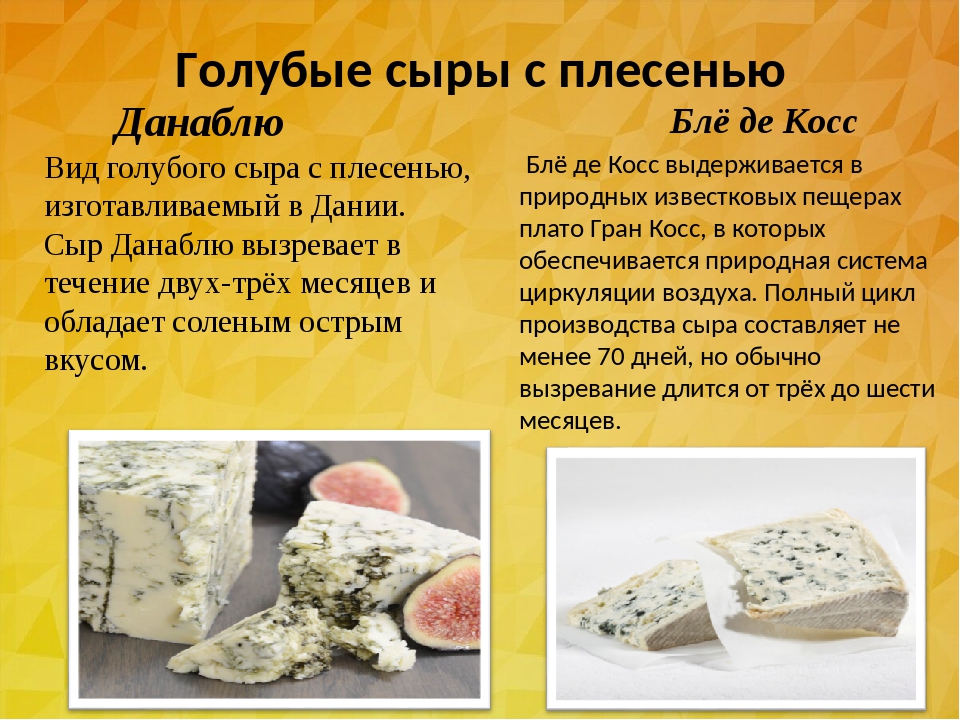 Сыр с белой плесенью. название, состав, польза и вред, как правильно есть