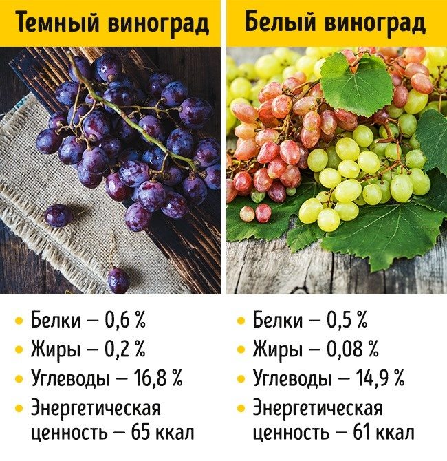 Белый виноград — калорийность, описание и полезные свойства