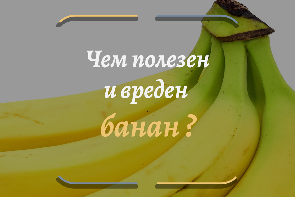 Бананы: польза и вред для организма человека | пища это лекарство