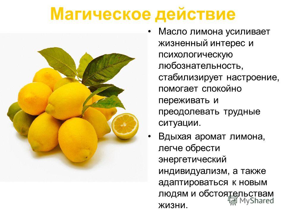 Полезный лимон | обучонок
