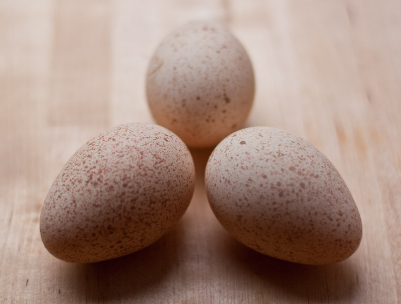 Цесариные яйца: польза и вред, состав и применение