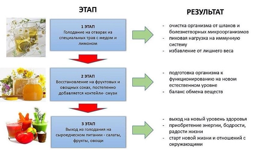 Очищение организма касторкой схема