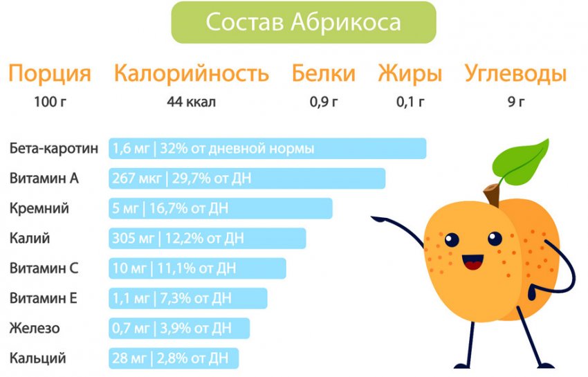 Сколько калорий в абрикосовой каши