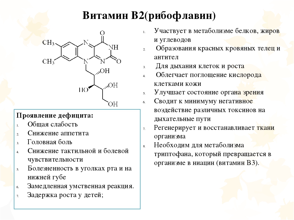 Витамин b2 (рибофлавин) – что это такое и для чего он нужен