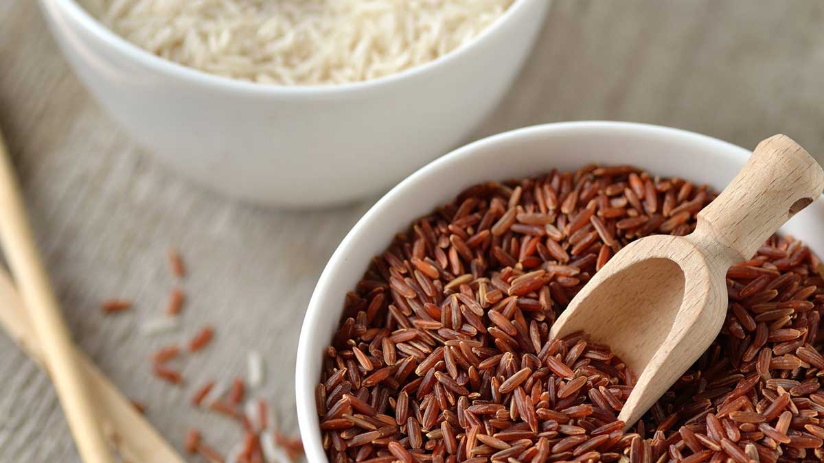 Рис бурый: бжу (содержание белков, жиров, углеводов), калорийность, питательная ценность и польза