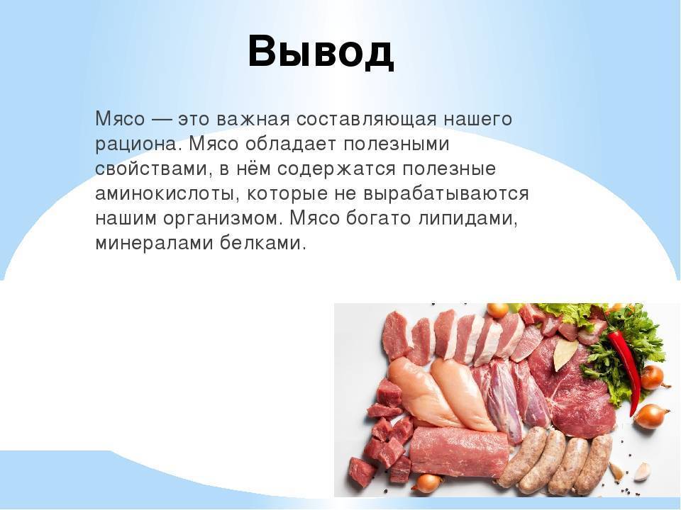 Свинина (жареная, тушеная, вареная) – калорийность продукта на 100 грамм