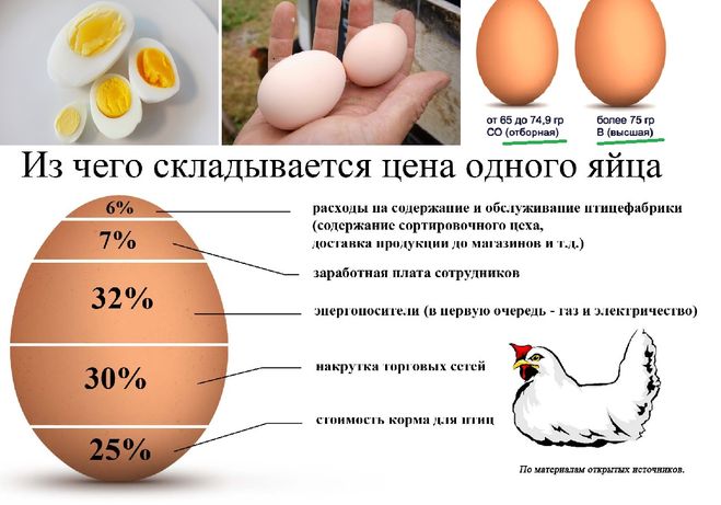 Гусиные яйца: бжу, польза и вред, правила хранения и приготовления