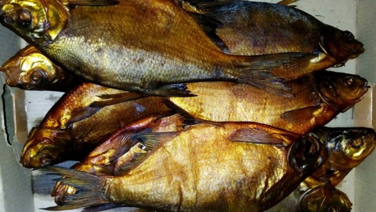Как сохранить рыбу: на рыбалке без холодильника