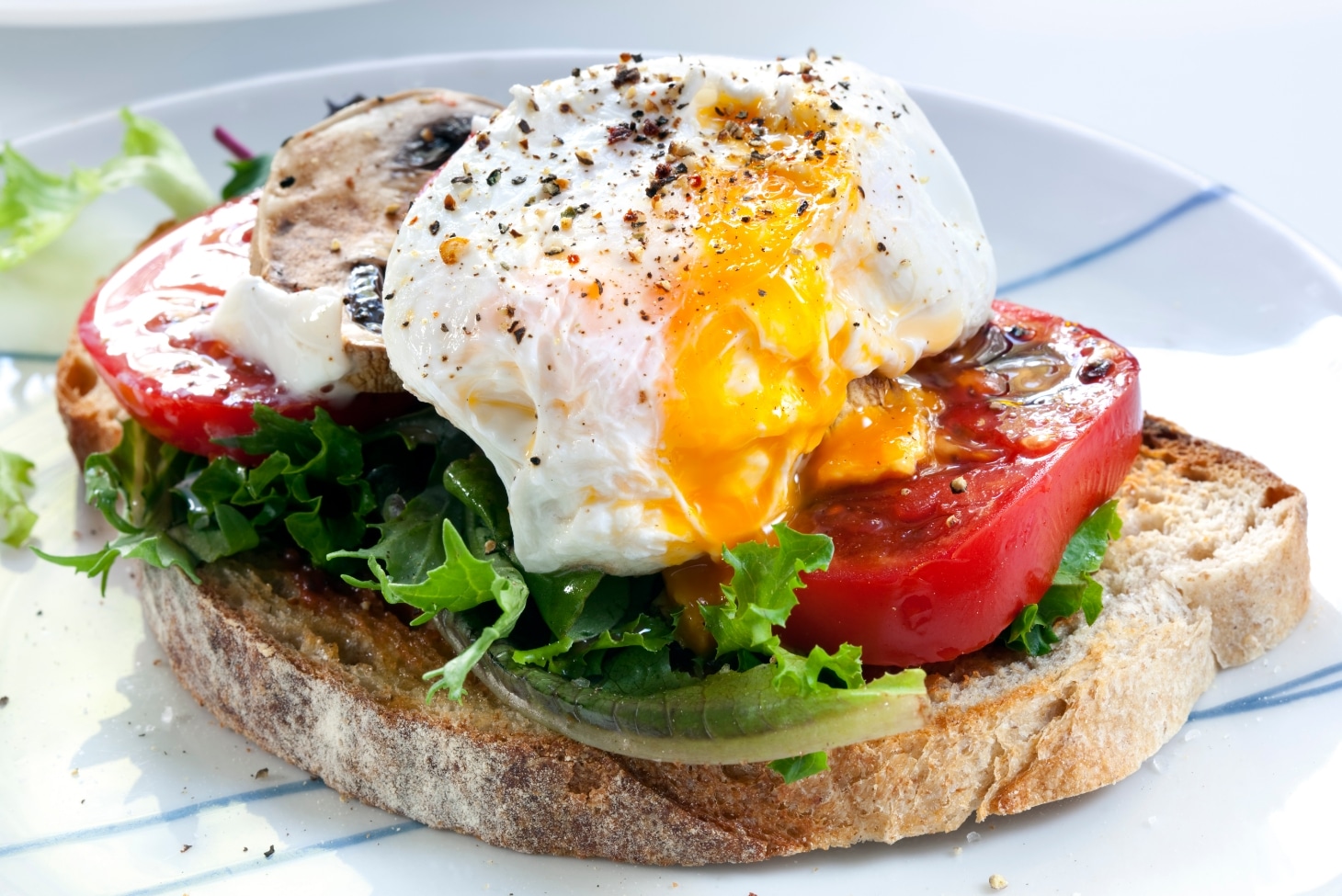 Диетические бутерброды на завтрак: рецепты с фото