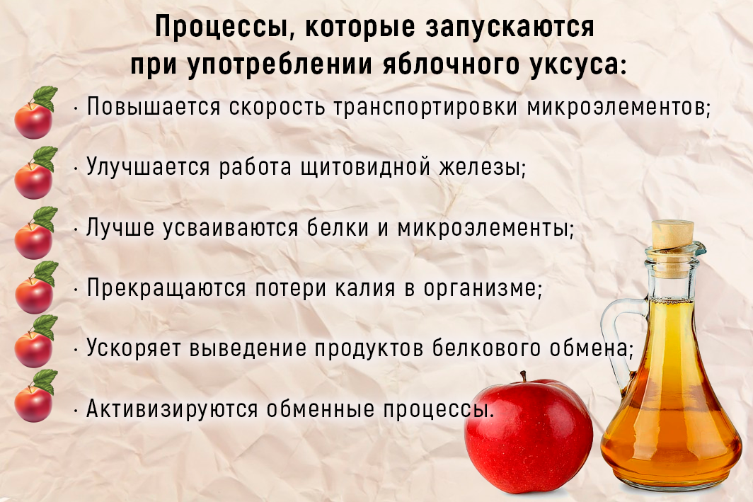 Яблочный уксус: польза и вред для организма и как его принимать