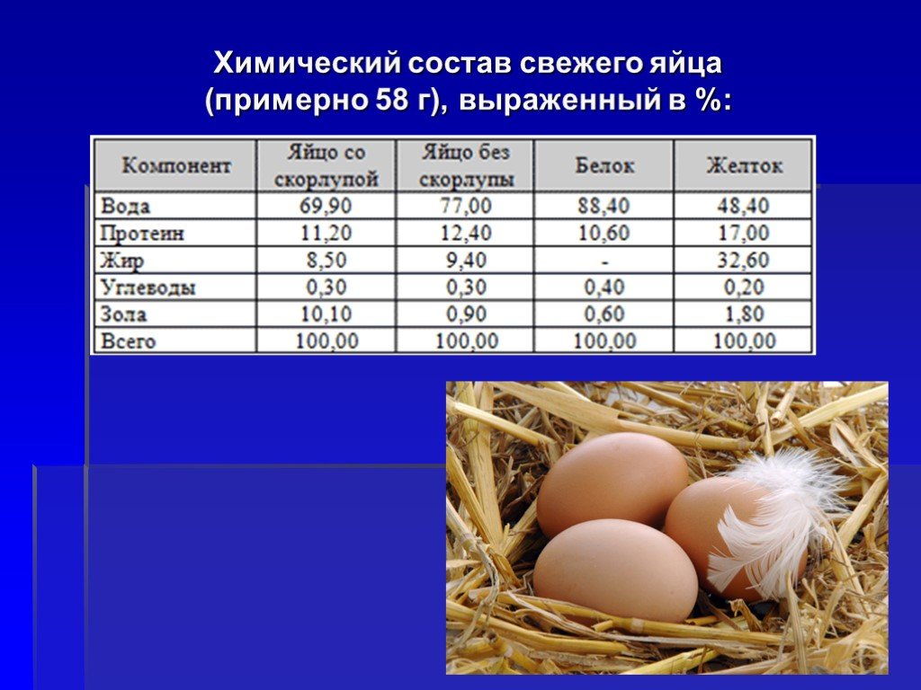 Характеристика и состав страусиного яйца, способы приготовления