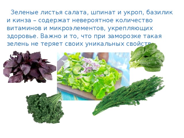Салат айсберг: полезные свойств и калорийность, рецепты с этим продуктом, польза и вред капусты