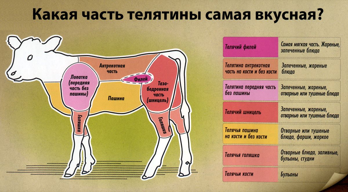 Какая часть говядины постная. схемы разделки говядины. рациональное использование говядины и телятины