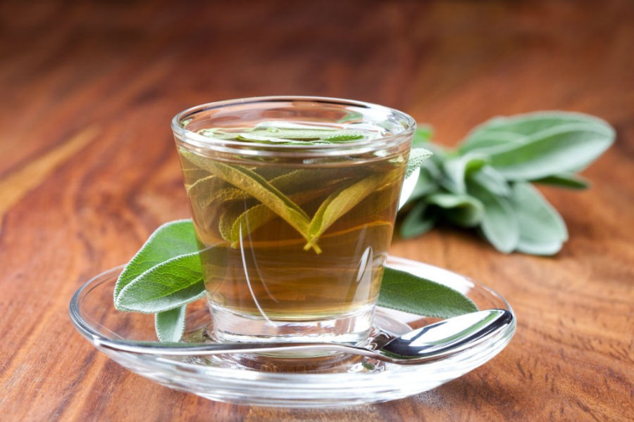 Шалфей лечебные свойства, польза и вред чая, исследования, рецепты