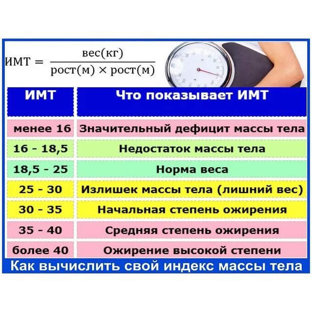 Калькулятор индекса массы тела: расчёт веса онлайн (имт или bmi)